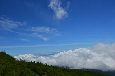 DSC_3612 (Large).JPG